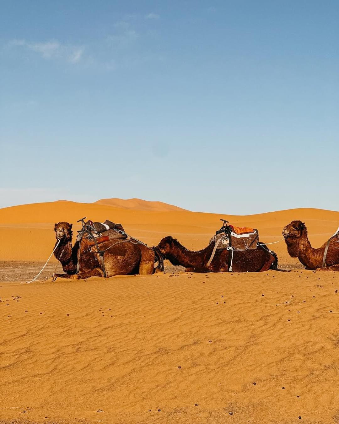 Merzouga Morocco Desert Luxury Camp Мерзуга Экстерьер фото
